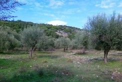 23102010001