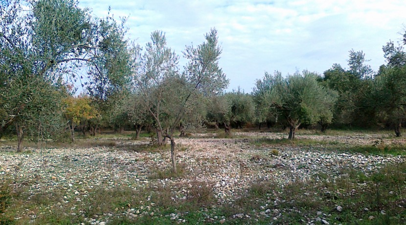 23102010002