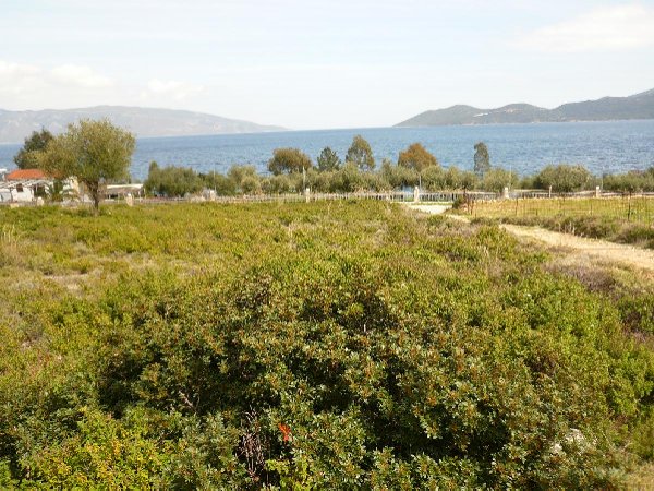 Land plot in Agia Paraskevi