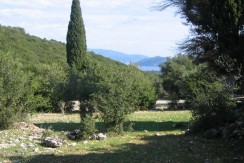 IMG_1935