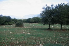 image001