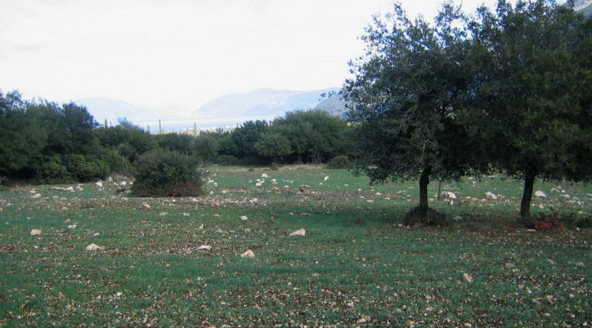 image001