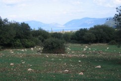 image002