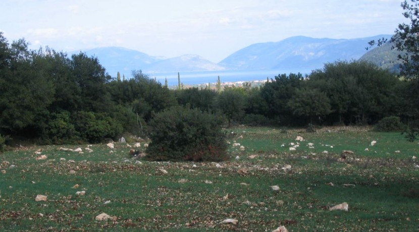 image002