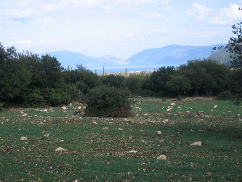 Large plot near Haliotata